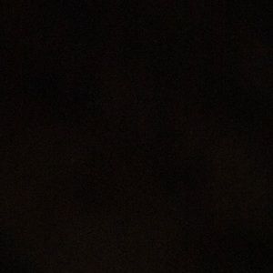 Meet your Posher, Lilly